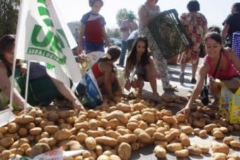 Ruslaşmış İspanyol: Patates yetiştirmeye ilk olarak hangi ülkede başladılar?