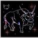 Maggio, quale segno zodiacale è il Toro