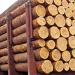 लकड़ी की घन क्षमता की गणना करना आसान नहीं है, लेकिन आवश्यक है